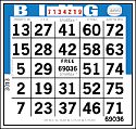 Image of a Bingo Card